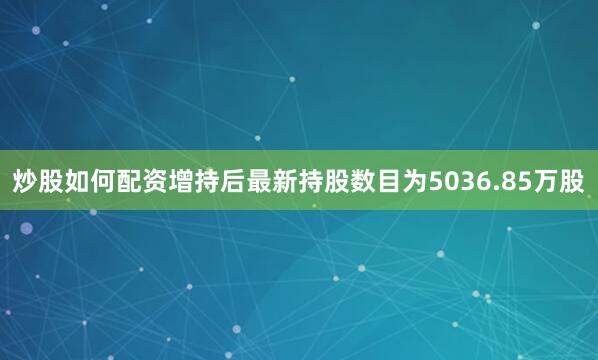 炒股如何配资增持后最新持股数目为5036.85万股