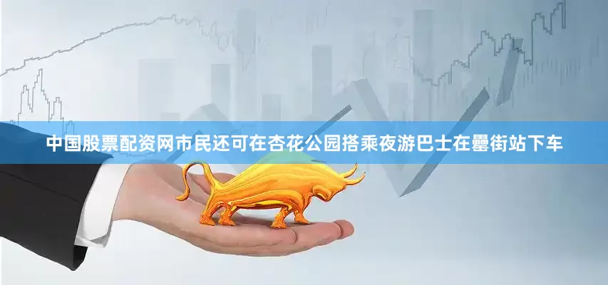 中国股票配资网市民还可在杏花公园搭乘夜游巴士在罍街站下车