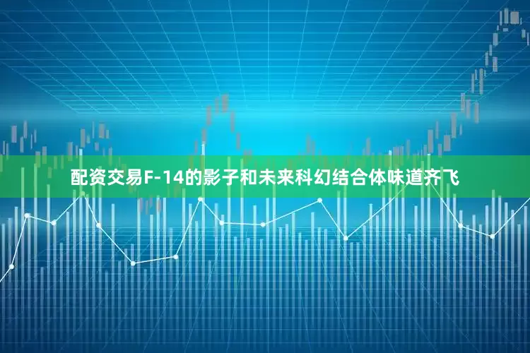 配资交易F-14的影子和未来科幻结合体味道齐飞