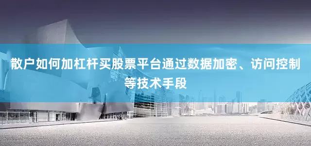 散户如何加杠杆买股票平台通过数据加密、访问控制等技术手段