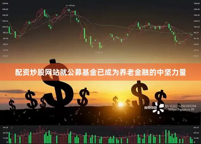 配资炒股网站就公募基金已成为养老金融的中坚力量